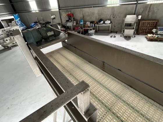 High level Stainless Steel Conveyor Pic 15